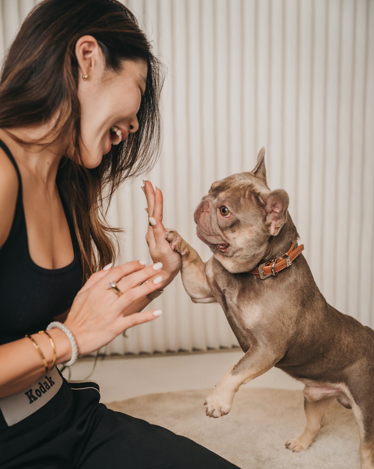 DD, Jane's French Bulldog